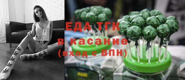 стафф Бородино