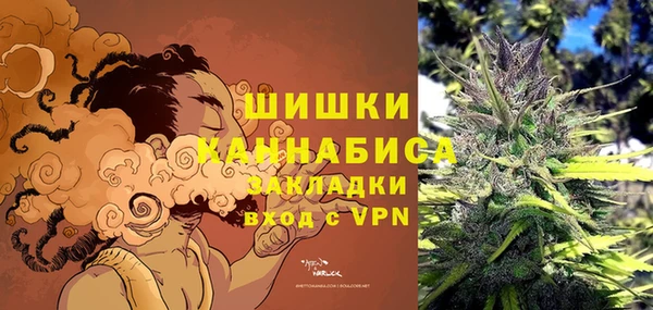 стафф Бородино