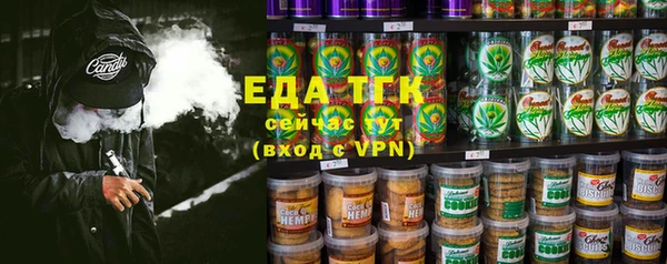 стафф Бородино