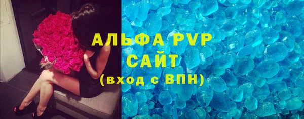 стафф Бородино