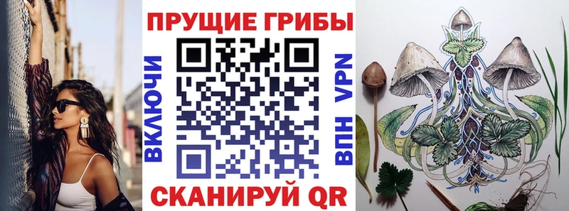 Галлюциногенные грибы прущие грибы  Купить  Мыски 